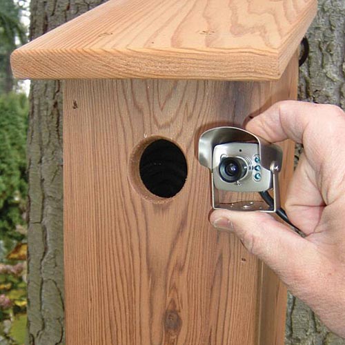 Remote Imaging in a Biological Environment (Bio Cam in Avian studies)